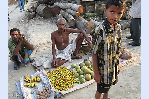 Viaggio in India 2008 - Sunderbans